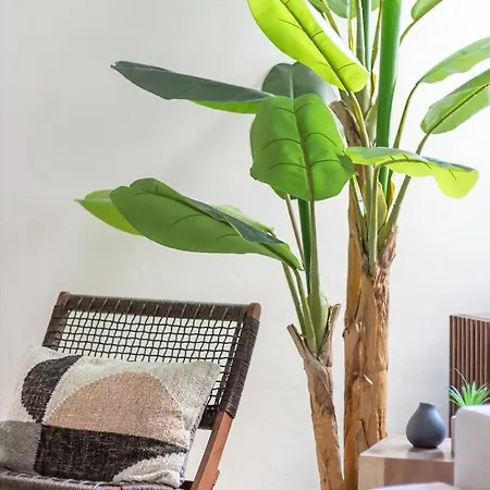 Zen Retreat In The Historic Center Of Corfu Apartment Corfu (city)